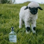 BLACKLION VODKA RARE SHEEPS MILK UNITED KINGDOM 700ML - Image 3