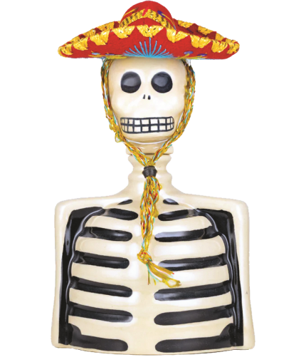 LOS AZULEJOS SKELLY TEQUILA REPOSADO SKELETO 750ML