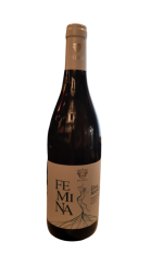 PATRIA FEMINA ETNA BIANCO DOC ITALY 2022 - Image 2